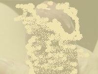 0008-000002.jpg