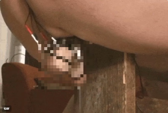 milking00001.jpg